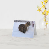 Carte norwegian forest cat in snow (Fleur jaune)