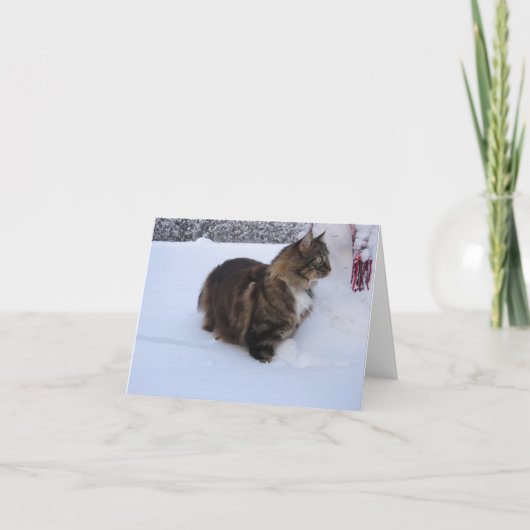 Carte norwegian forest cat in snow (Devant)