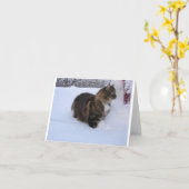 Carte norwegian forest cat in snow (Fleur jaune)