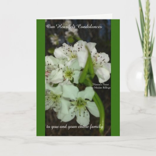 Carte Nos condoléances sincères (Devant)