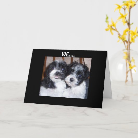 CARTE NOS TÊTES ENSEMBLE-ANNIVERSAIRE (Fleur jaune)