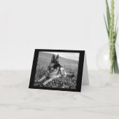 Carte Nota Blair Chien Chien Chien Chien Chien All (Devant)