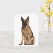 Carte Nota Blair Chien Chien Chien Chien Chien All (Fleur jaune)