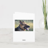 Carte Nota Blair Chien Chien Chien Chien Chien All (Dos)