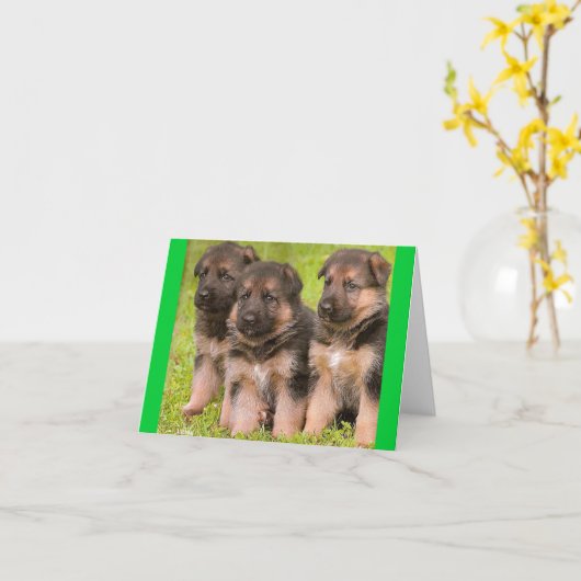 Carte Nota Blair Chien Chien Chien Chien Chien All (Fleur jaune)