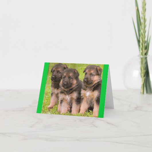 Carte Nota Blair Chien Chien Chien Chien Chien All (Devant)