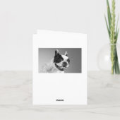 Carte Nota Blank Chien Chien Chien Chien Chien Fra (Dos)