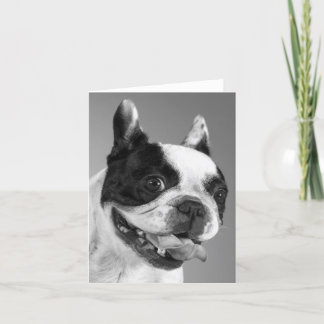 Carte Nota Blank Chien Chien Chien Chien Chien Fra