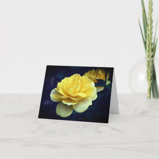 Carte Note blanche de fleurs de rose jaune (Devant)