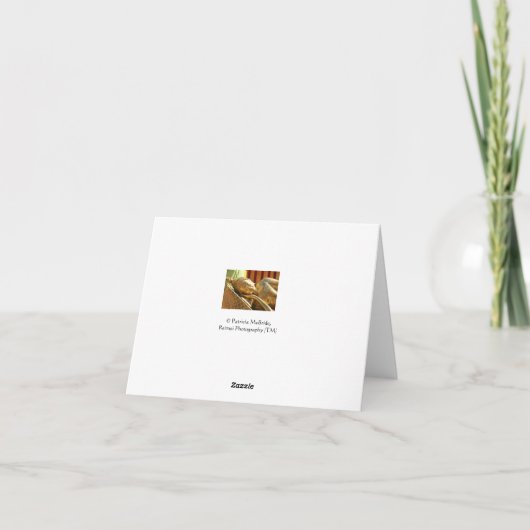 Carte Note blanche du cheval blanc (Dos)