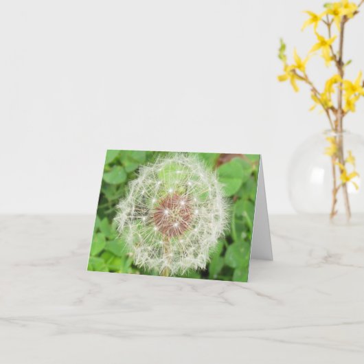 Carte - Note - Bougie de Dandelion (Fleur jaune)