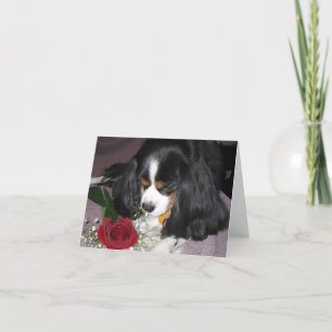 Carte Note card