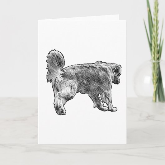 Carte Note Chaude, Allure Pointillée (Devant)