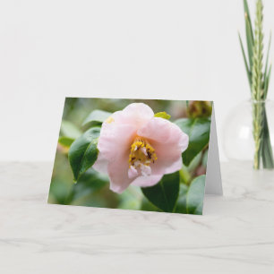 Carte Note de Fleur de Camellia Rose