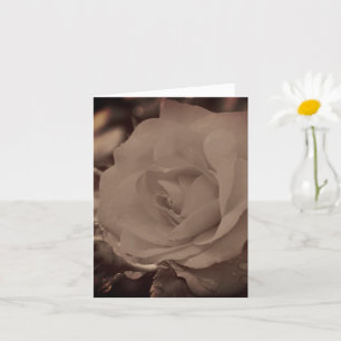 Carte Note de fleur de rose sépia vintage vieillie