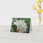 Carte Note de photographie de fleur d'azalée blanche jol (Fleur jaune)
