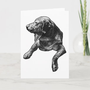 Carte Note de saison Dot-Soft d'un laboratoire