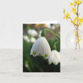 Carte Note de Snow Drop (Fleur jaune)