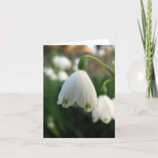 Carte Note de Snow Drop