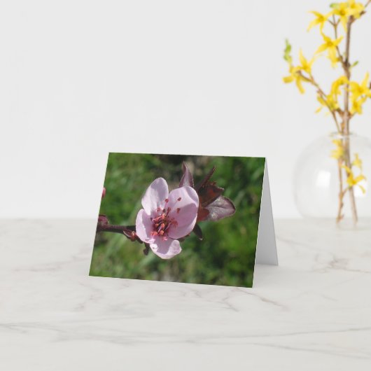 Carte - note - Fleur rose (Fleur jaune)