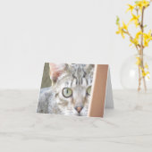 Carte - Note - Forlorn Kitten (Fleur jaune)