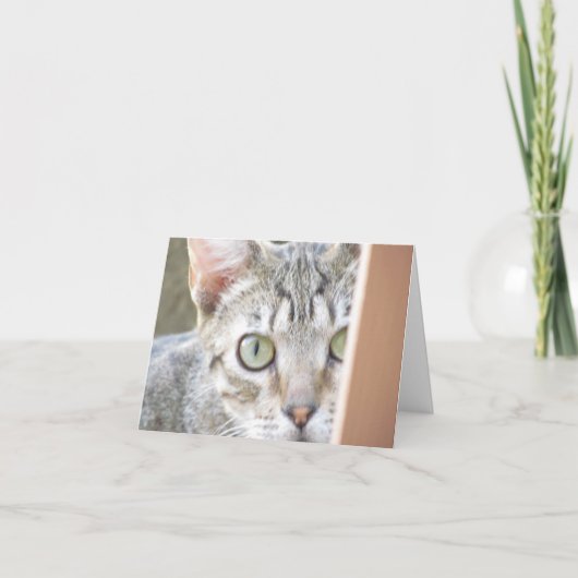 Carte - Note - Forlorn Kitten (Devant)