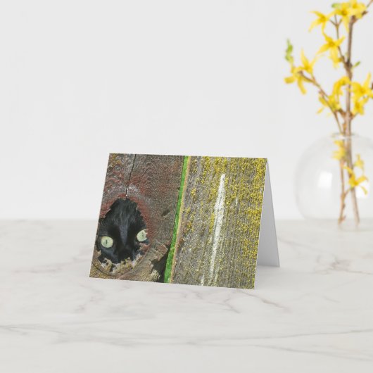 Carte - Note - observation du chat noir (Fleur jaune)