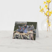 Carte Note : "quatre dans un lit" Moorhens (Fleur jaune)