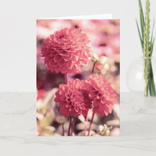 Carte Note sur les fleurs de dahlia rose (Devant)