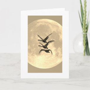 CARTE NOTEE PLIEE CANARD DEVANT PLEINE LUNE