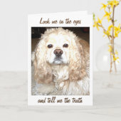 CARTE **NOTRE ANNIVERSAIRE** COCKER SPANIEL COMEDIAN (Fleur jaune)