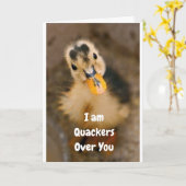 CARTE **NOTRE ANNIVERSAIRE** JE SUIS DES REQUINS SUR "VO (Fleur jaune)