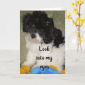 CARTE "NOTRE ANNIVERSAIRE" QUE PENSEZ-VOUS QUE JE PENSE (Fleur jaune)