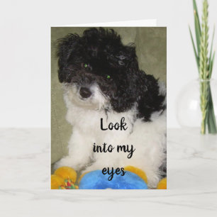 CARTE "NOTRE ANNIVERSAIRE" QUE PENSEZ-VOUS QUE JE PENSE 