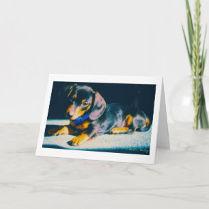 Carte Notre Bailey Dachshund