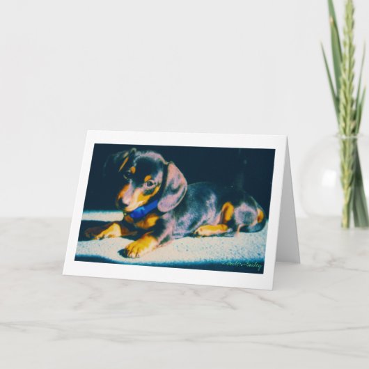 Carte Notre Bailey Dachshund (Devant)