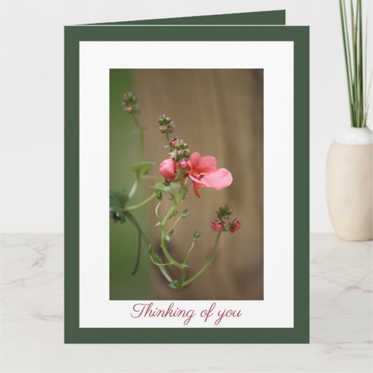 Carte Notre sympathie la plus profonde (Devant)