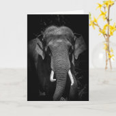 Carte N'oubliez jamais un anniversaire (Fleur jaune)