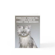 NouillesChillaxingChat Anniversaire tardif