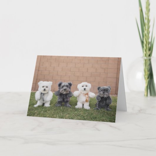 Carte Nounours (Devant)