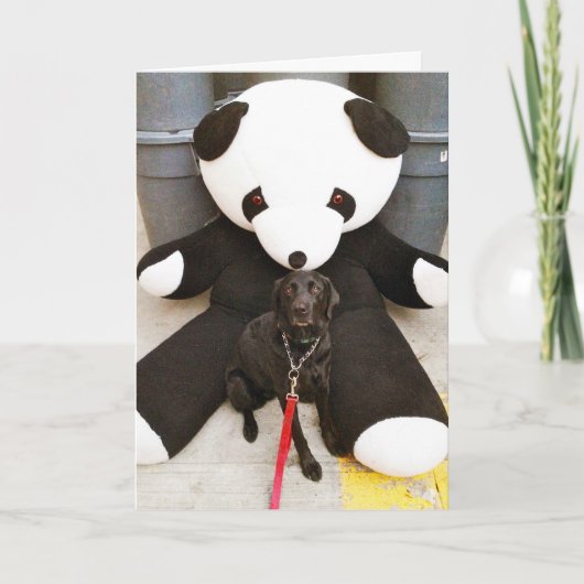 Carte Nourrir pas la nature (Devant)