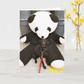 Carte Nourrir pas la nature (Fleur jaune)