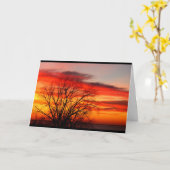 Carte Nous Appartenons Au Même Humour D'Anniversaire De  (Fleur jaune)