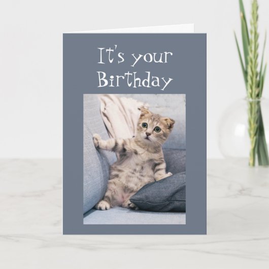 Carte Nous n'avons pas oublié votre chaton d'anniversair (Devant)