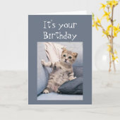 Carte Nous n'avons pas oublié votre chaton d'anniversair (Fleur jaune)