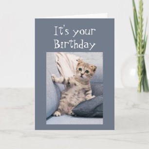 Carte Nous n'avons pas oublié votre chaton d'anniversair