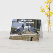 CARTE NOUS NE SOMMES PAS DES PIGEONS STOOL (Fleur jaune)
