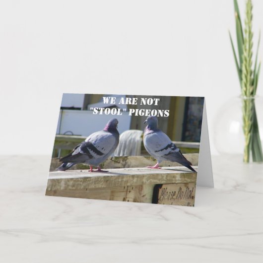 CARTE NOUS NE SOMMES PAS DES PIGEONS STOOL (Devant)