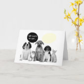 CARTE NOUS (PACK OF DOGGIES) DISONS HEUREUX ANNIVERSAIRE (Fleur jaune)
