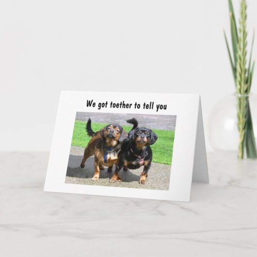 CARTE NOUS SOMMES JALOUS CUZ VOUS REGARDEZ SI BON À VOTR (Devant)